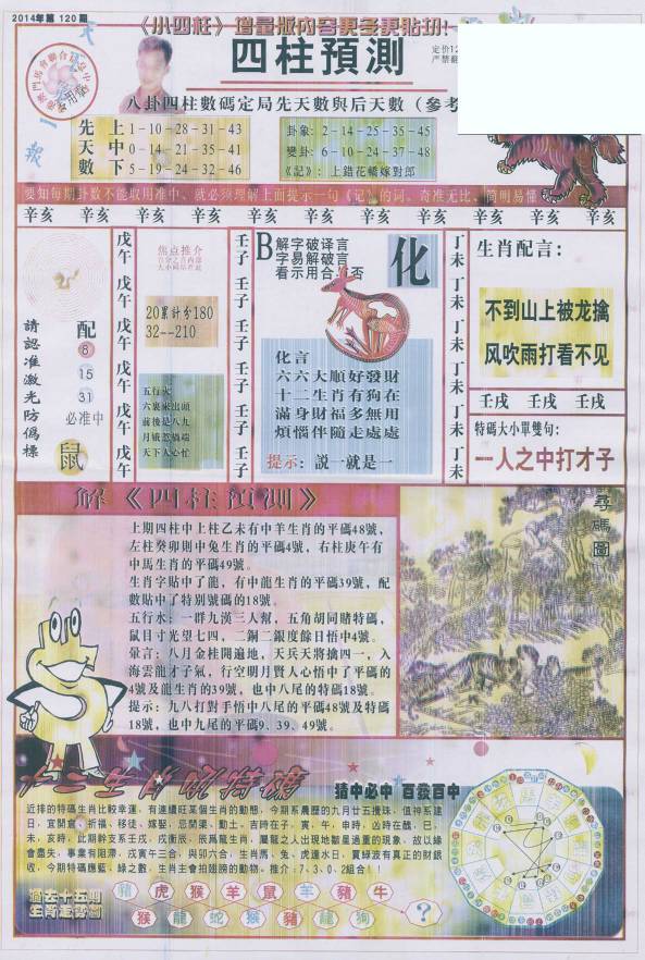 权威揭晓，天南地北解最佳一肖