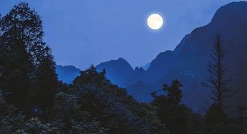 一川残月满山风，揭秘生肖之谜与文化解读