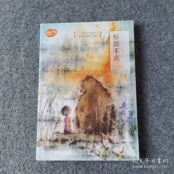 形影不离的奥秘，生肖鼠的神秘解释与文化落实