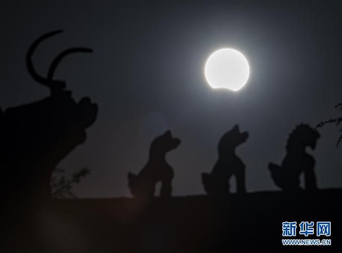 踏月乘歌破晓天是什么生肖、支持解释落实