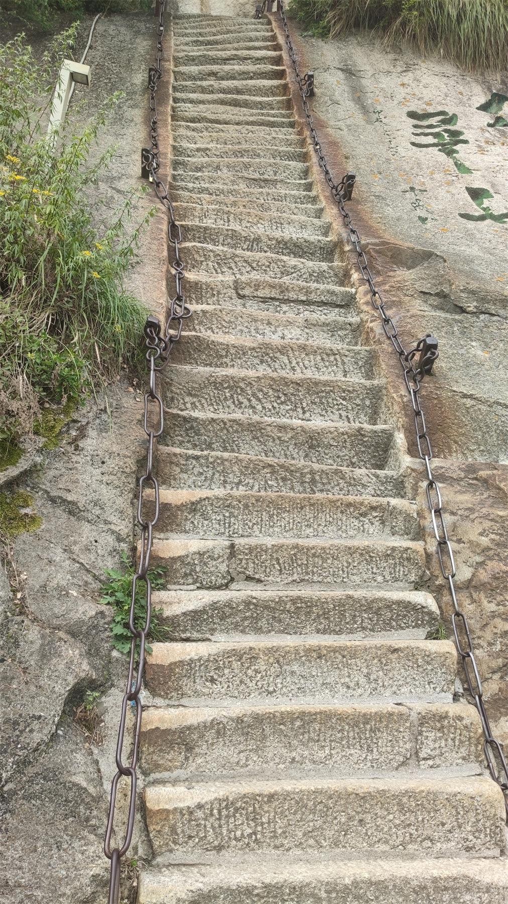 九死一生，解密生肖谜题与学习作答的智慧