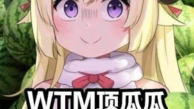 唯唯诺诺，打最准确的一个生肖—鼠的智慧与机敏