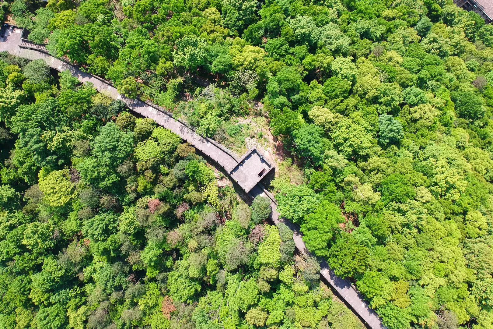 面目一新，生肖鼠的正面蜕变与行动落实