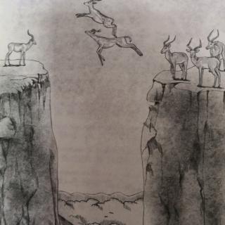 危亡关头下的英勇—以羚羊跃崖为例，探讨无限解释与落实的深刻意义