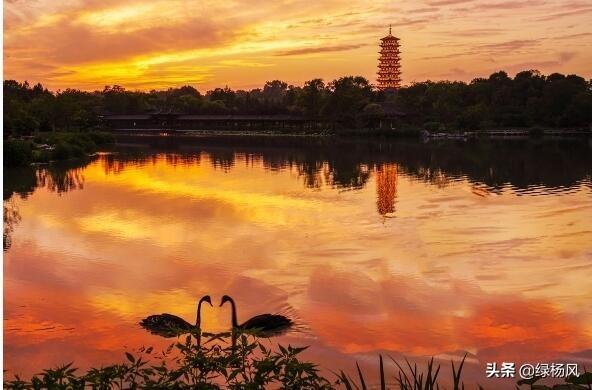 湖光水色映生肖，时代作答与文化解读