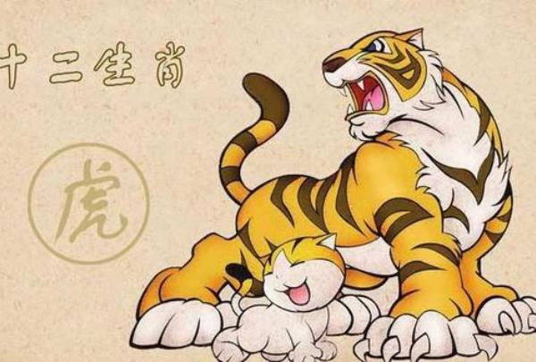 短斤缺两打一正确生肖:答案解释落实