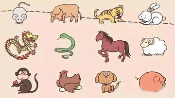 变化无方，时代作答下的生肖智慧—以龙为例