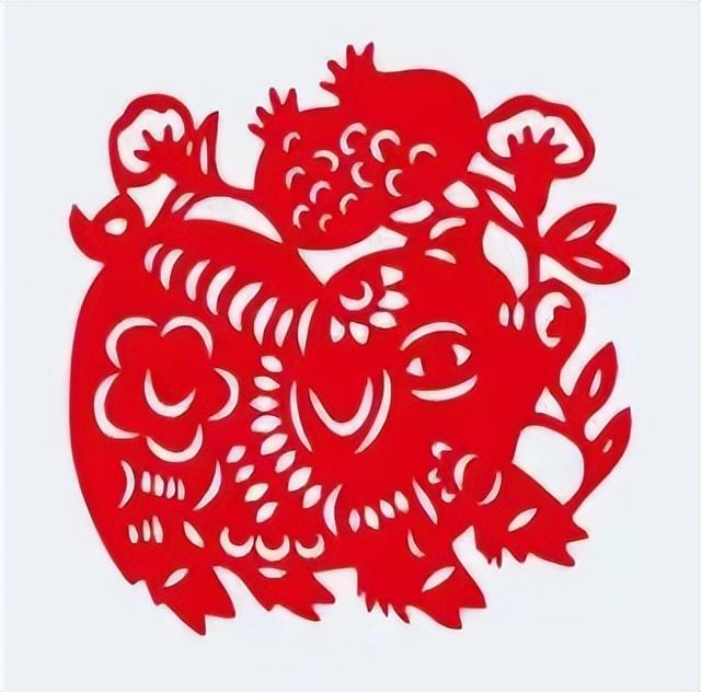 脚踏实地最佳生肖、专业解释落实