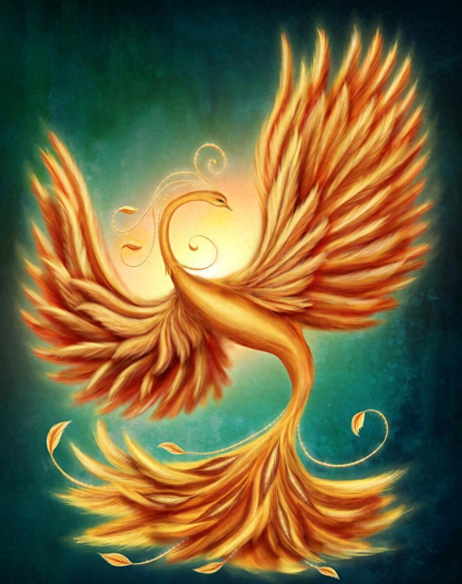 玉兔出宫，揭秘生肖之谜与文化寓意