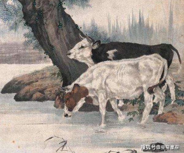 祸不单行是什么生肖、查询解释落实 祸不单行是什么生肖、查询解释落实