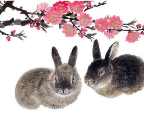 后来居上是什么生肖?佩服解释落实