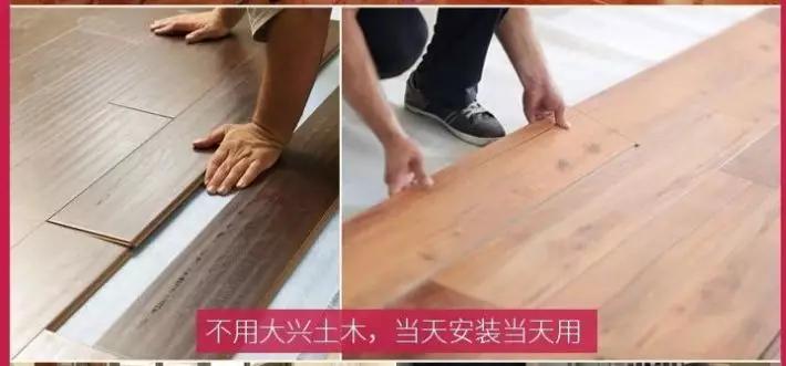 悄无声息的动物生肖，速度与效率的完美诠释