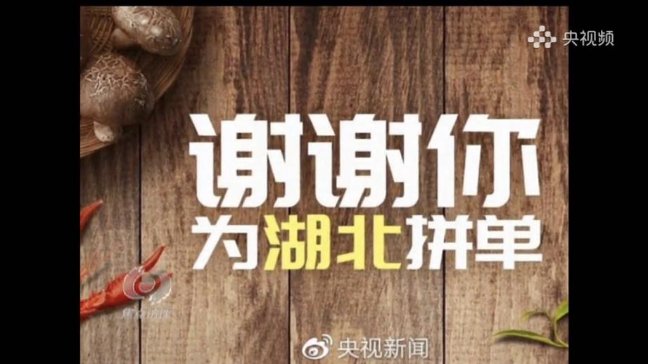 谜团渐解，揭秘愁云淡淡背后的生肖之谜