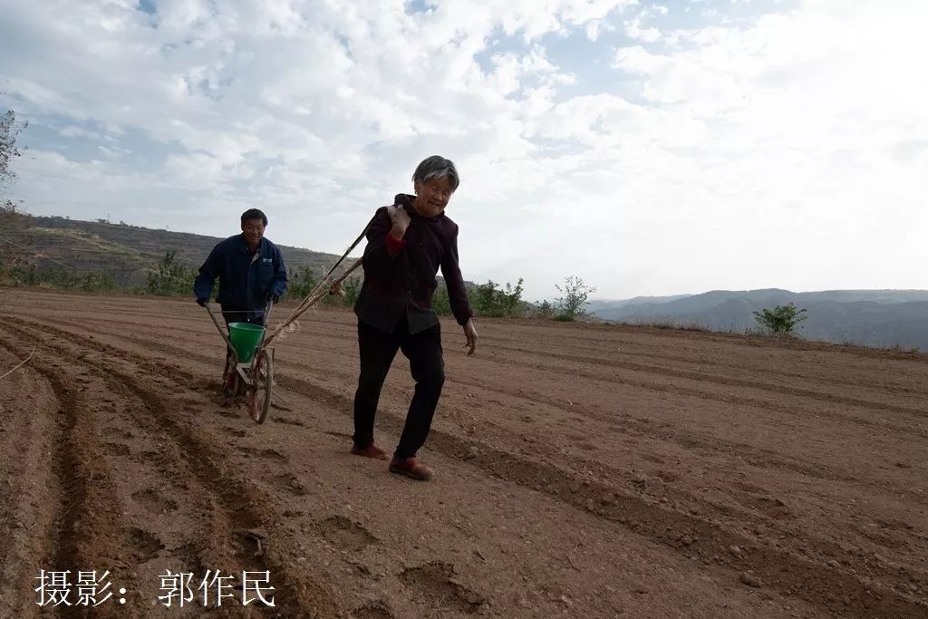 面朝黄土背朝天，生肖牛的最新解释与时代落实
