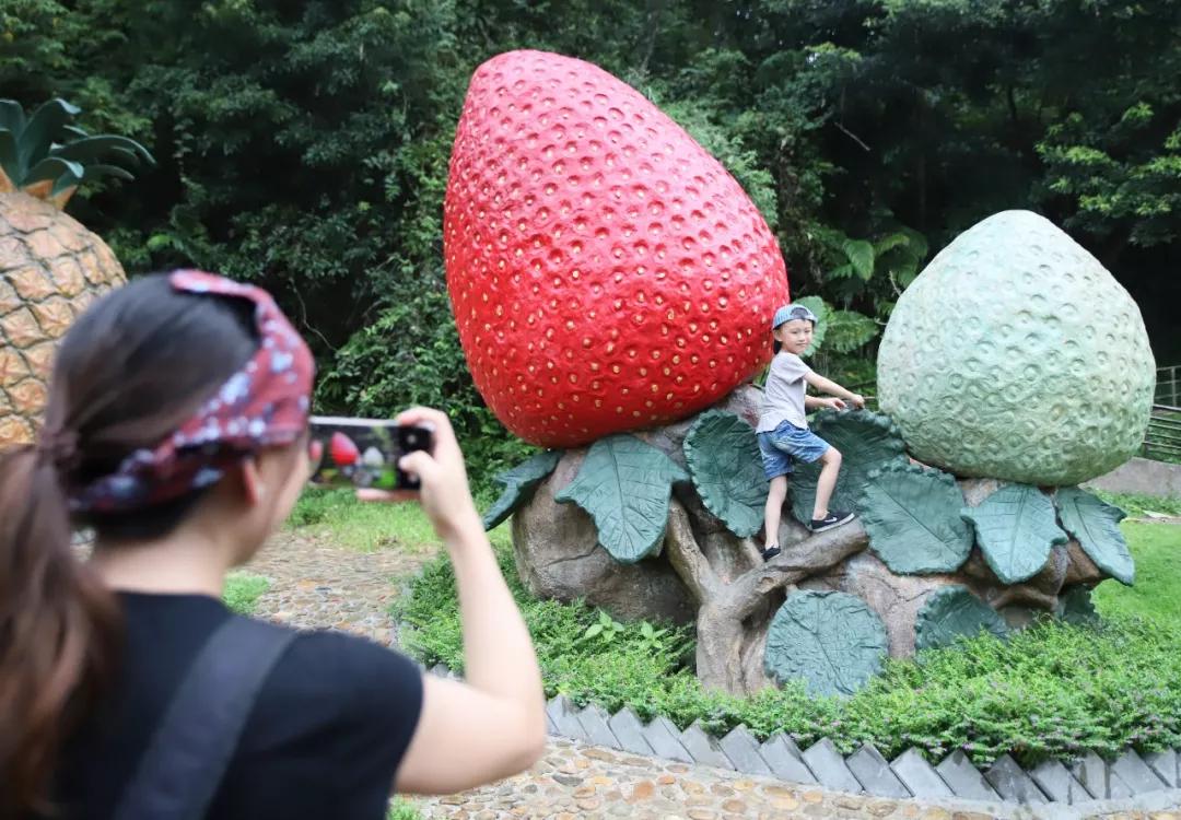 福无十全，生肖之谜，经典解释与文化落地的深度剖析