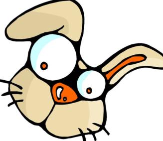 挺身而出是什么生肖、精选解释落实