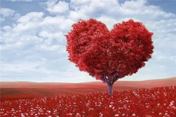 心心相印是什么生肖、解析解释落实