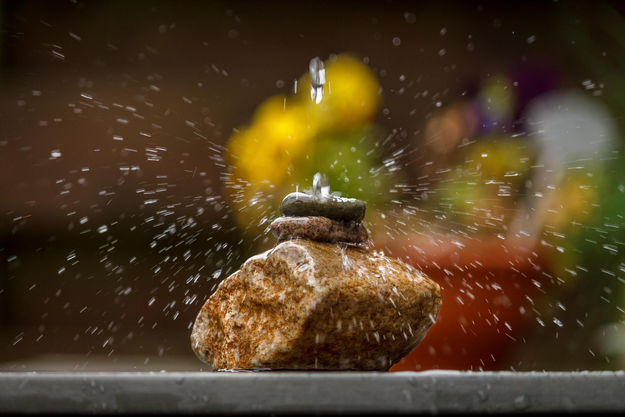 揭秘水滴石穿背后的生肖奥秘