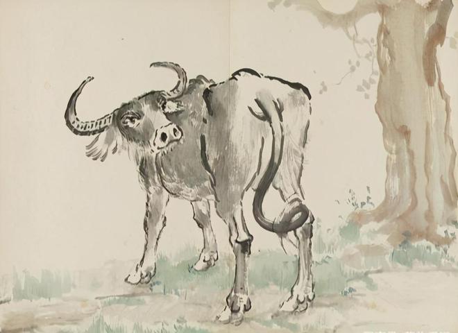 揭秘来去自如的动物，生肖之谜