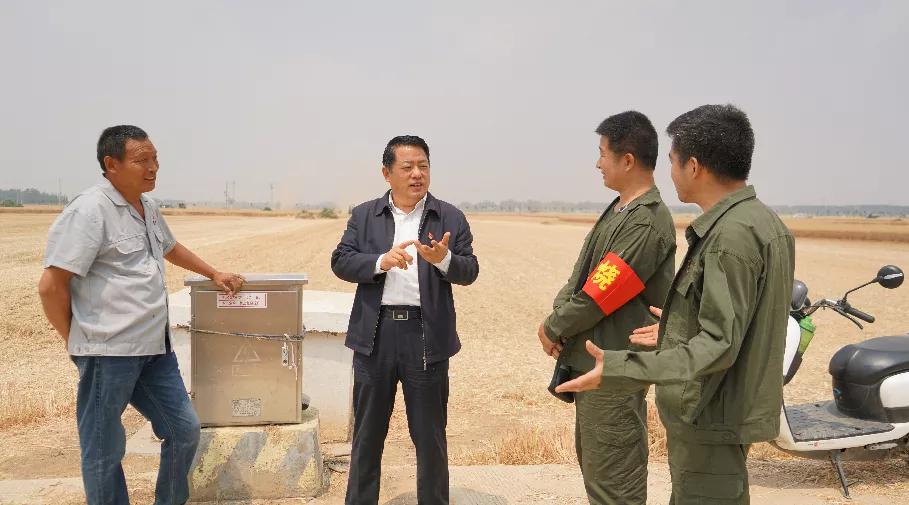 痴呆懵懂是什么生肖、科学解释落实