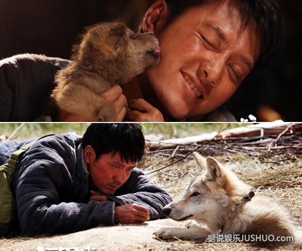 皮开肉绽，揭秘与生肖动物相关的神秘面纱