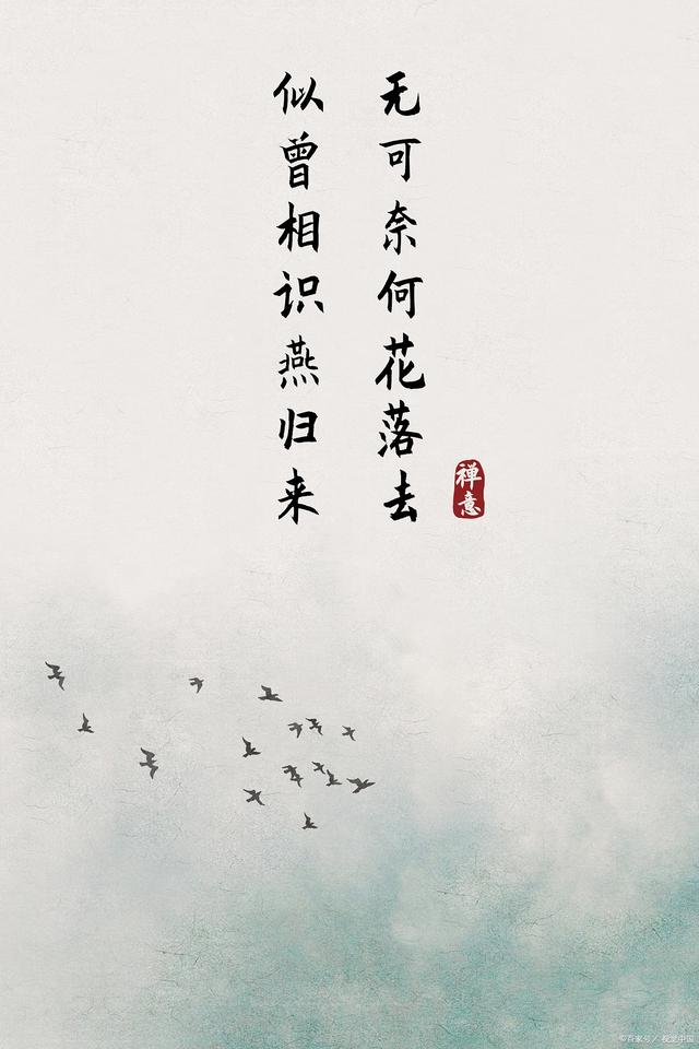 直道相思了无益，生肖之谜与真相解释的落实