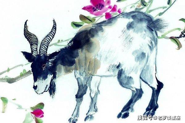 韶光似箭代表什么生肖:答案全面解释落实