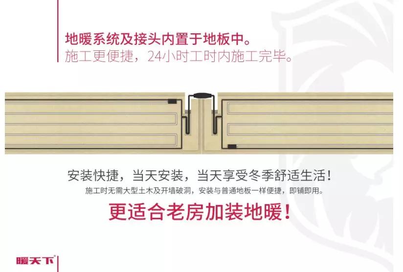 悄无声息的动物生肖，速度与效率的完美诠释