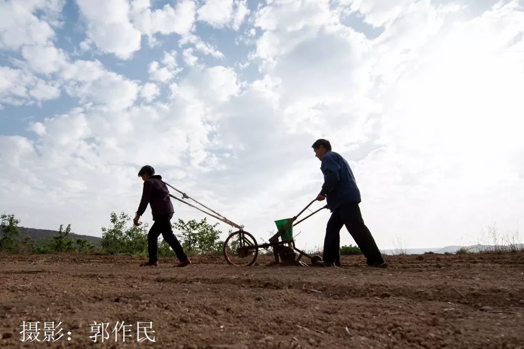 面朝黄土背朝天，生肖牛的最新解释与时代落实
