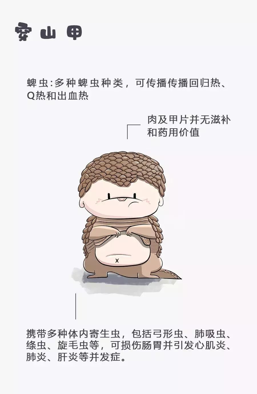 跌磕蹭蹬，生肖背后的智慧与能人解释落实