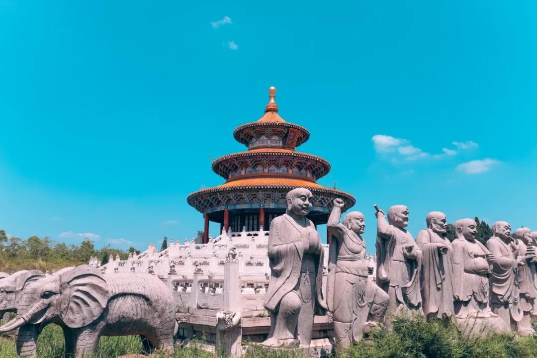 倾吐衷肠，生肖之谜的深度解析