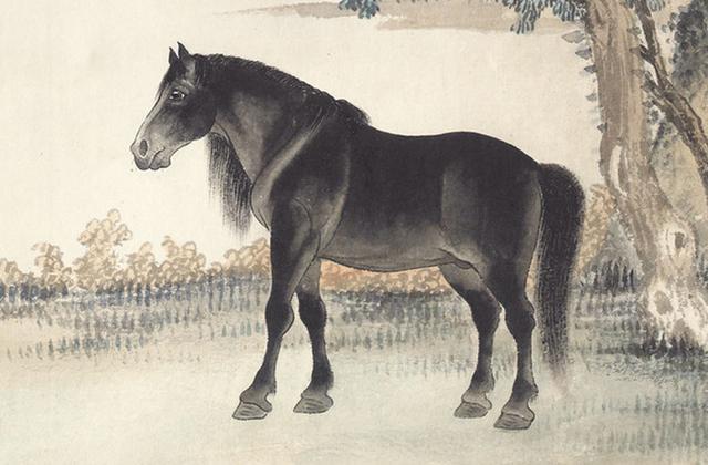 后来居上是什么生肖?佩服解释落实