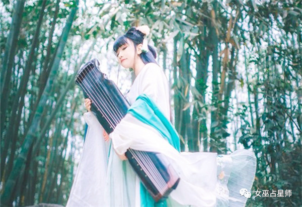 藕断丝连的生肖之谜，探寻文化与科学的双重解释