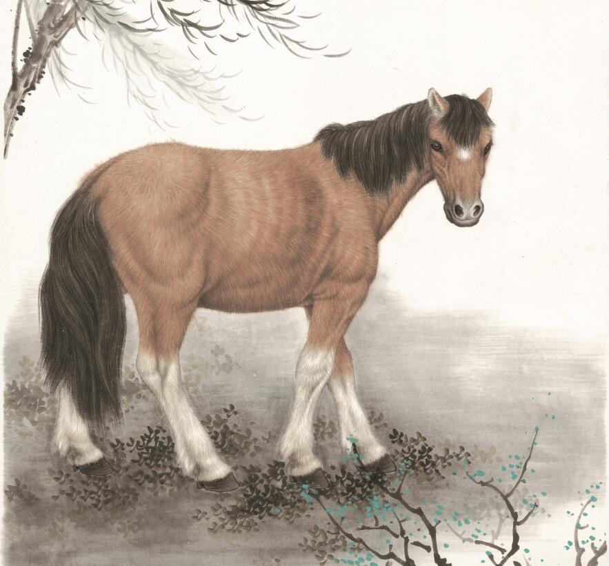 倚马千言打一最佳生肖:最快解答落实