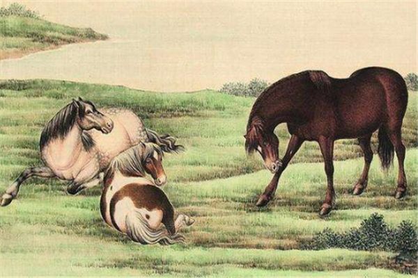 走马章台打一正确生肖、理想作答落实解释