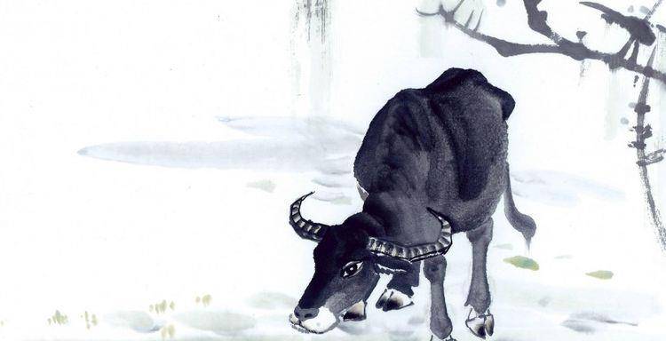 揭秘起早贪黑背后的生肖谜题