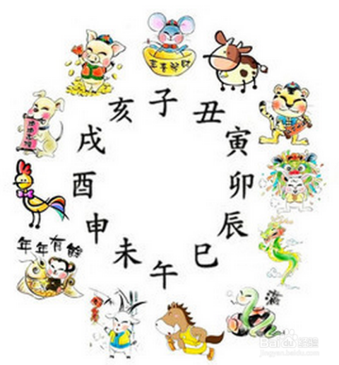 根深叶茂，生肖背后的文化寓意与最新解释落实