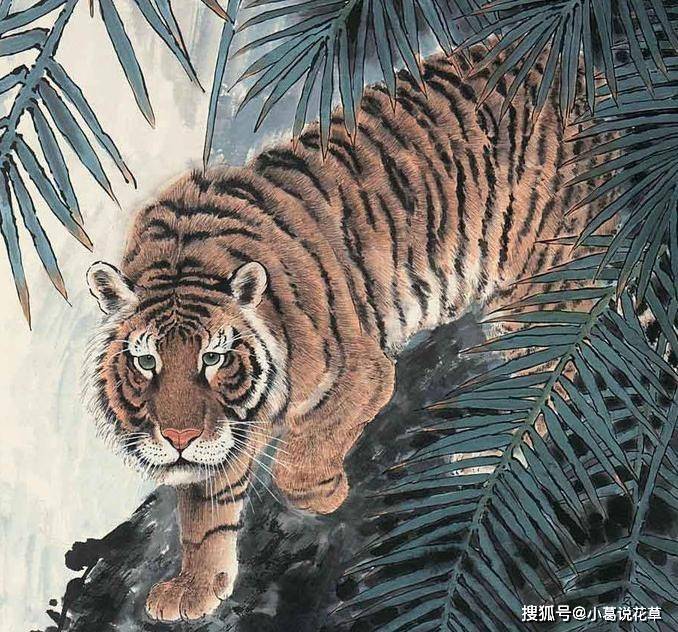 施不望报，生肖中的无私奉献者—属牛人的精神解读