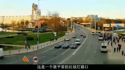 一步三摇，揭秘生肖中的舞者—鸡的独特步伐