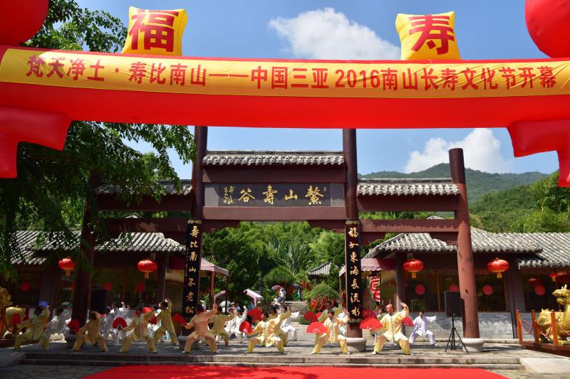 探寻南山之寿与生肖的奥秘，揭秘精准生肖的详细解释