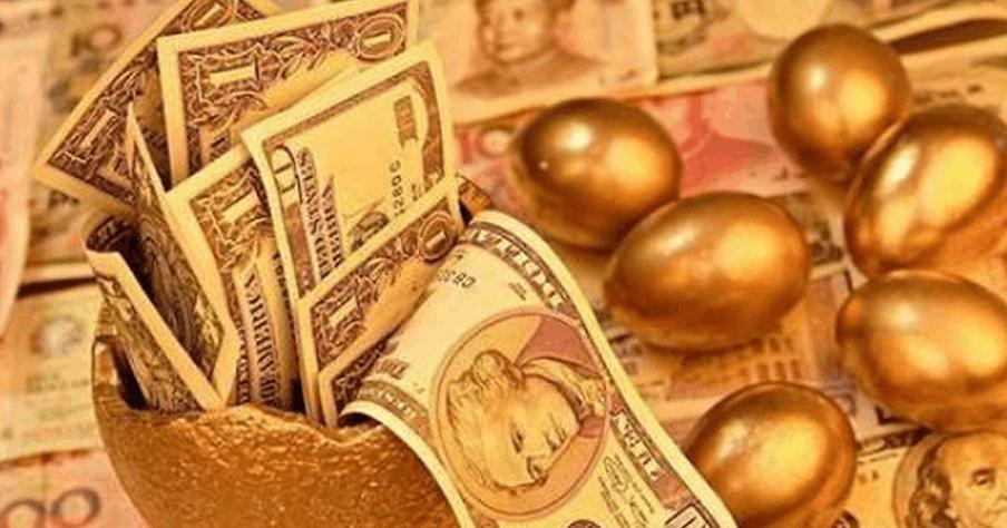 轻而易举是什么生肖、时代解释落实