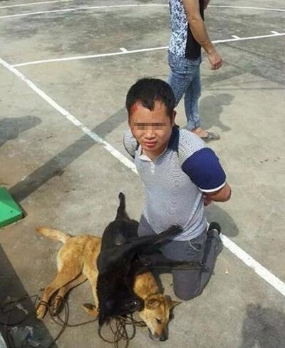 保家卫国的生肖,英勇的生肖—狗 保家卫国的生肖,英勇的生肖—狗