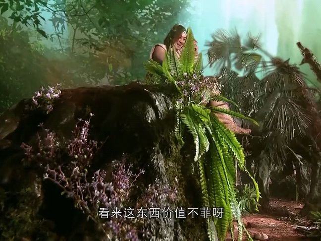 横行霸道是指哪个生肖、解释与落实