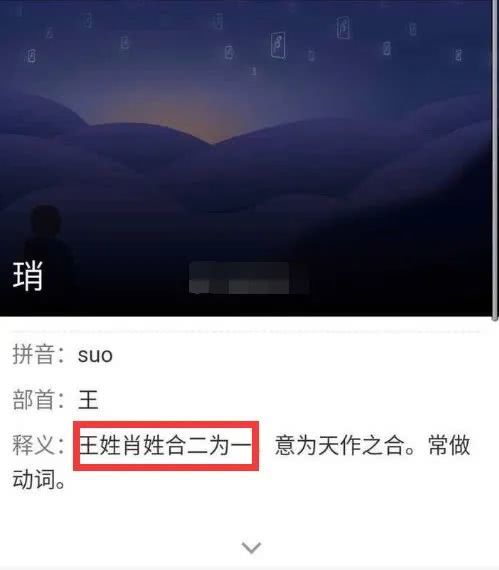 精准搭桥牵线，揭秘最独特的一肖解释与落实