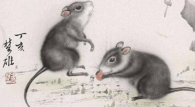 谜底即将揭晓，闭门谢客背后的生肖之谜