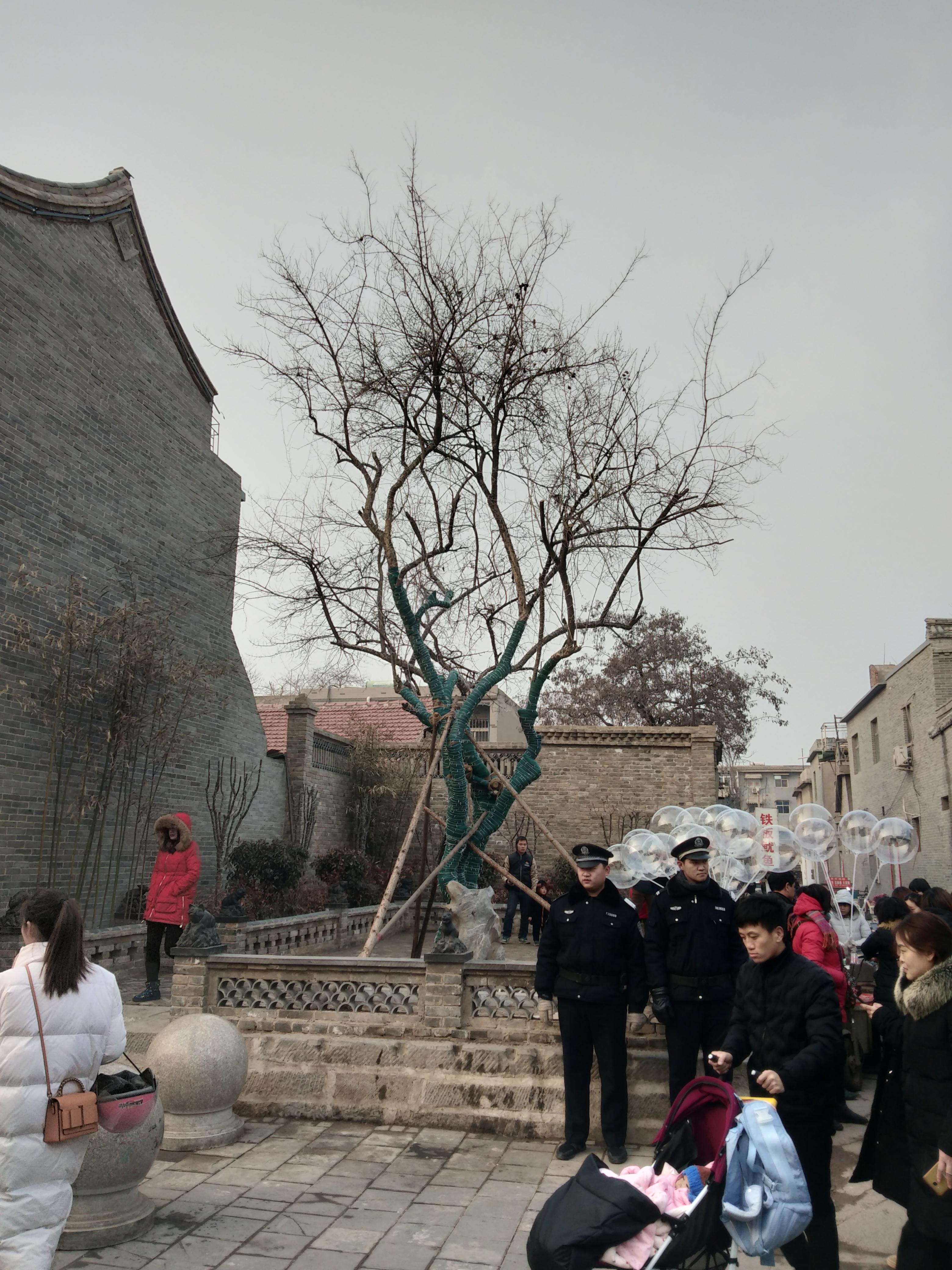 大破大立，生肖文化中的什打一与全面解读