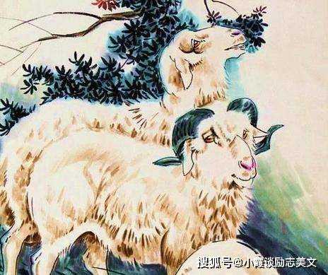 作舍道边是什么生肖、团结解释落实 作舍道边是什么生肖、团结解释落实