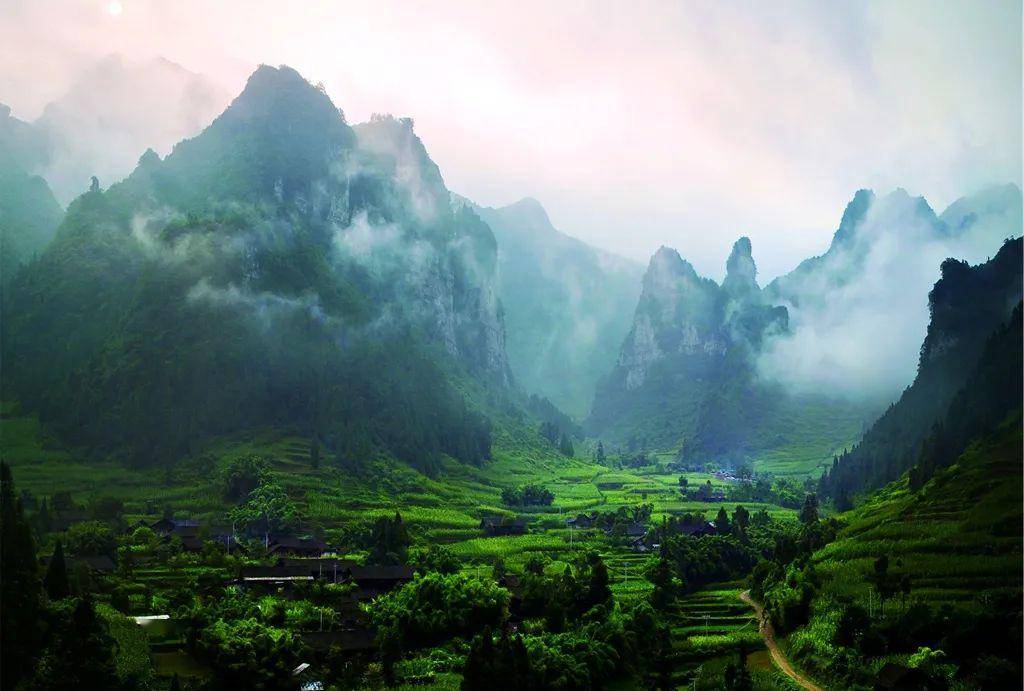 探秘五里云雾背后的生肖奥秘与喜欢解释落实的智慧