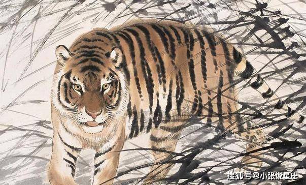 宛然如生打一生肖、专业作答落实解释