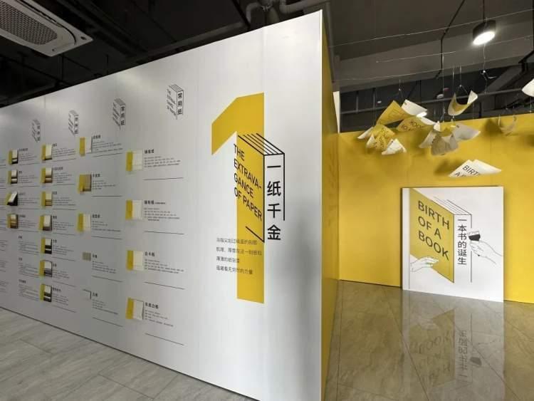 面目一新，生肖鼠的正面蜕变与行动落实